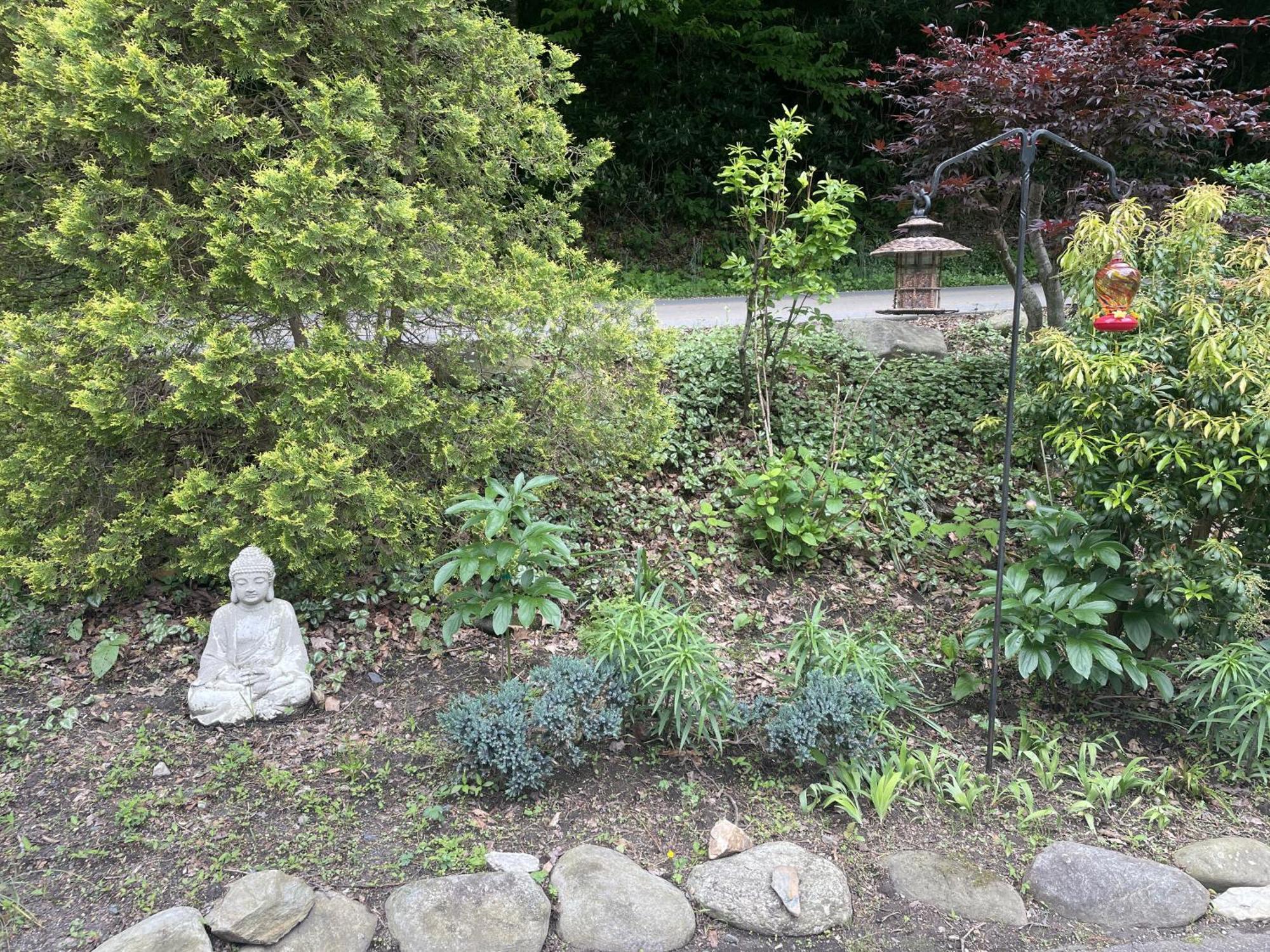 Mt Mitchell Cabin Rentals Burnsville 외부 사진